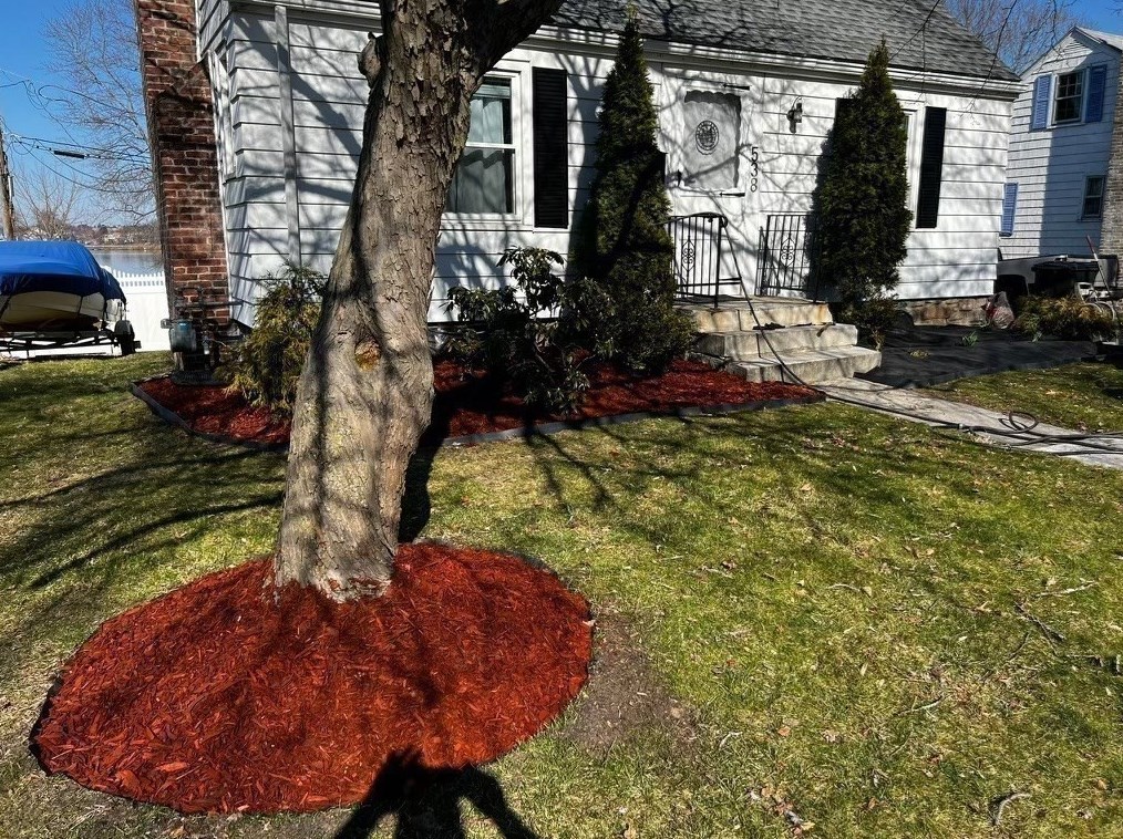 538 Grove St, Worcester MA 01605-1241 exterior