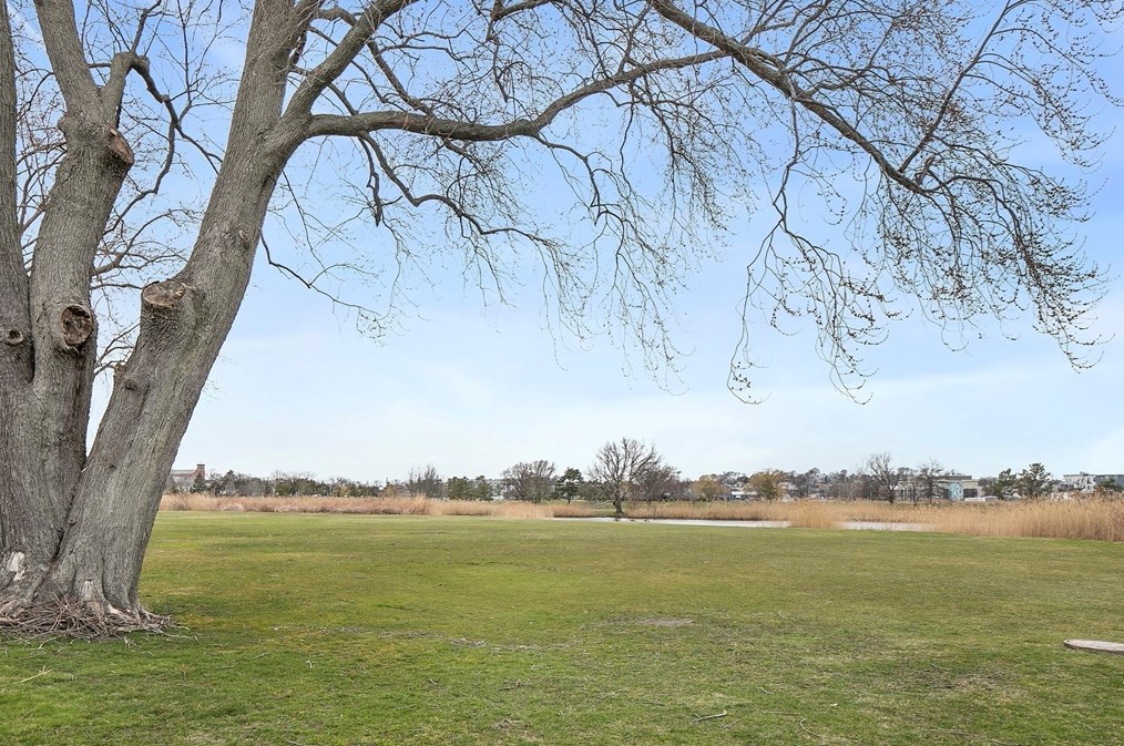 59 Lewis Ave, Winthrop MA  02152-1772 exterior