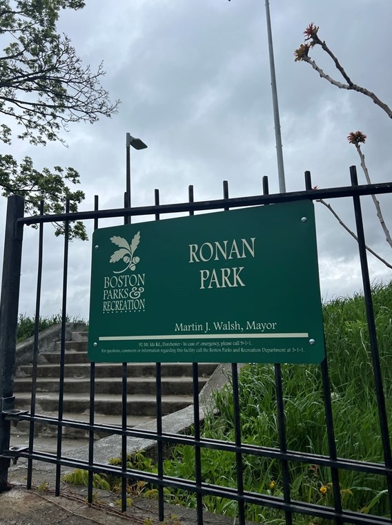 43 Robinson St, Boston MA  exterior