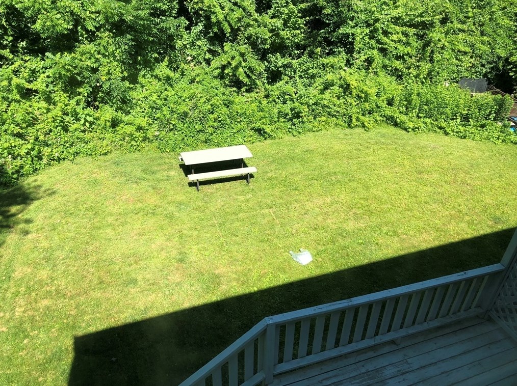 149 Maple St, Needham MA  02492-2129 exterior