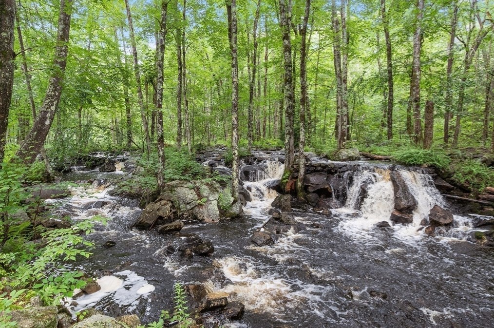 11 Cross Rd, Ashburnham MA 01430-1042 exterior