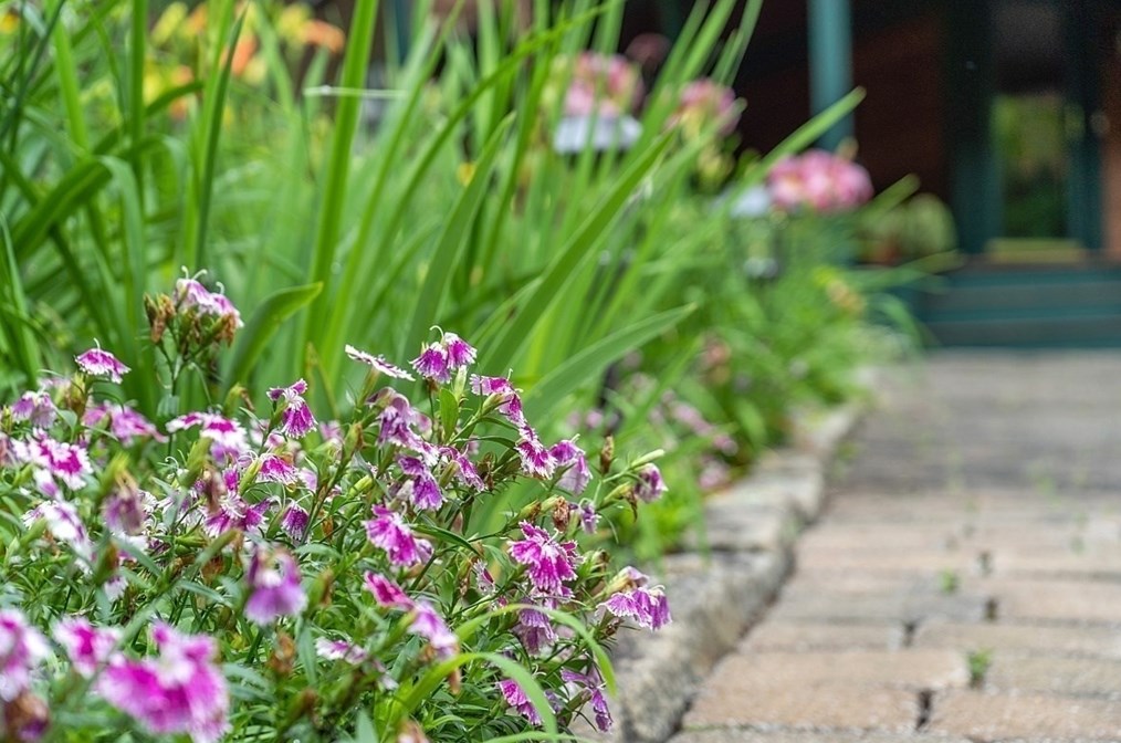 11 Cross Rd, Ashburnham MA 01430-1042 exterior