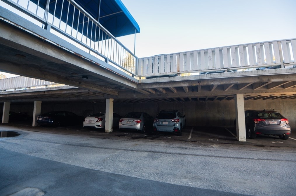 231 Coolidge Ave, Watertown MA 02472-1536 exterior