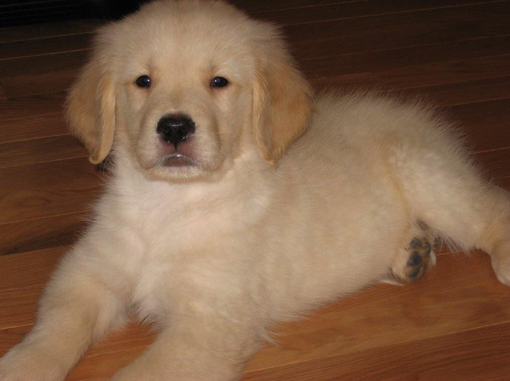 55 Green St, Clinton MA  01510-3018 exterior