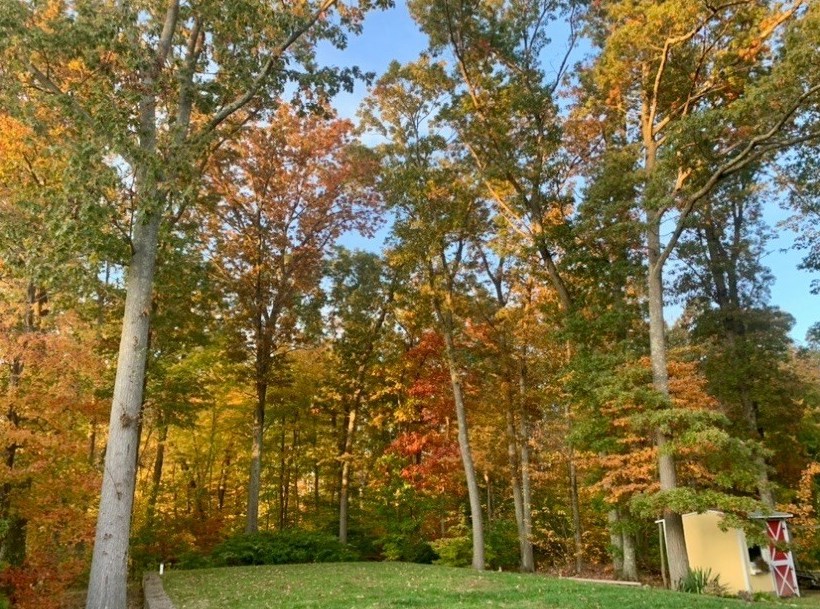 47 Hiller Dr, Seekonk MA 02771 exterior