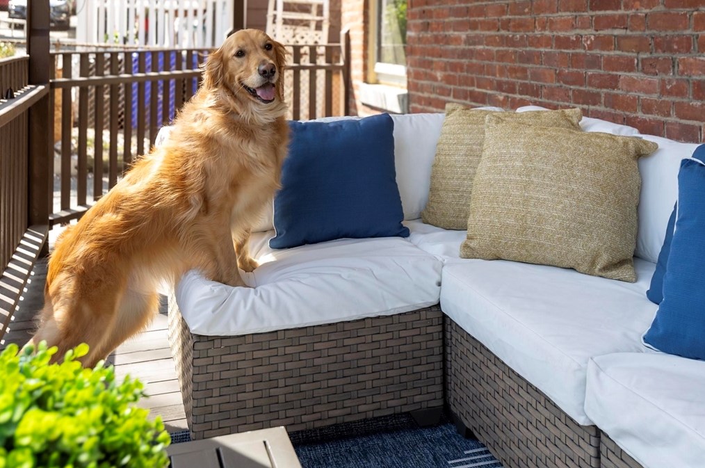 88 Walnut St, Brookline MA  02445-7748 exterior