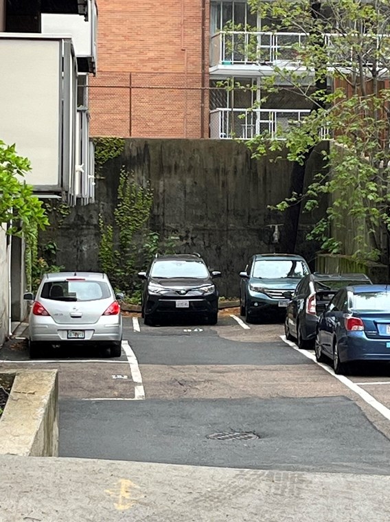 20 Stearns Rd, Brookline MA  02446-5145 exterior