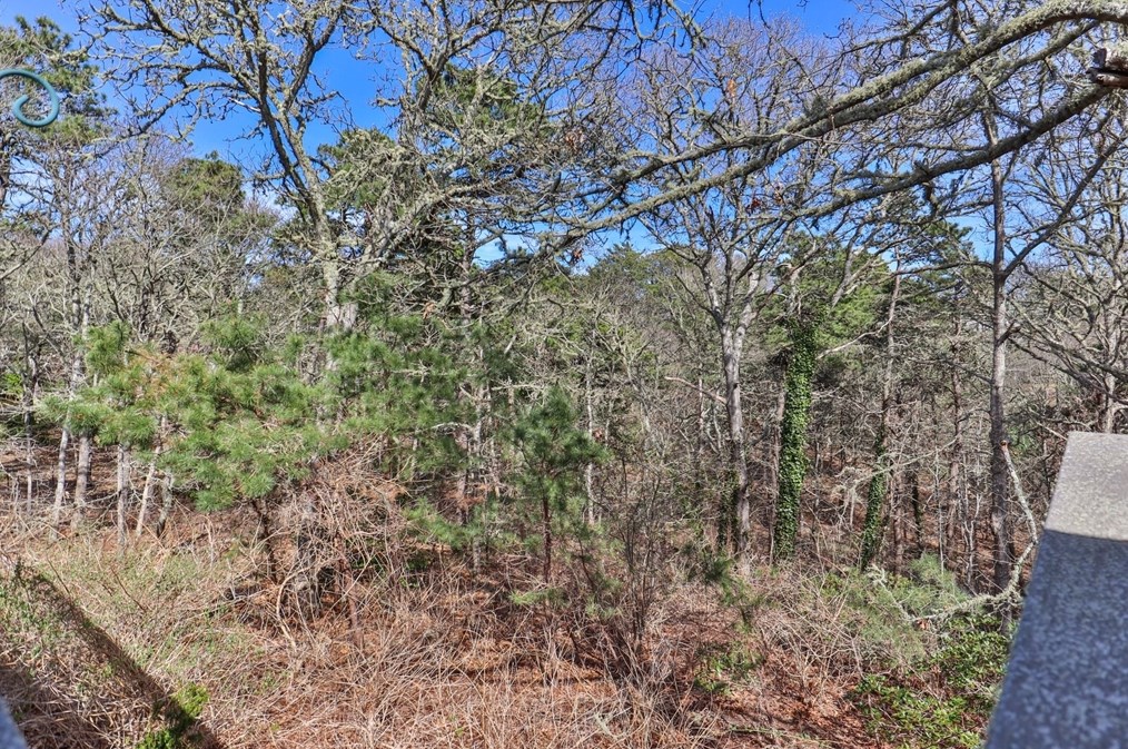 222 Chippingstone Rd, Chatham MA 02633-1201 exterior