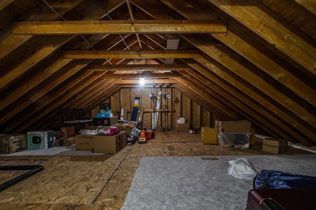 19 Matteo St, Worcester MA  01606-1178 exterior