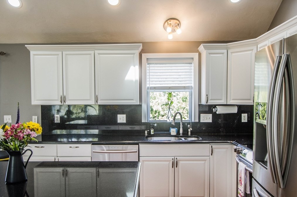 19 Matteo St, Worcester MA  01606-1178 exterior