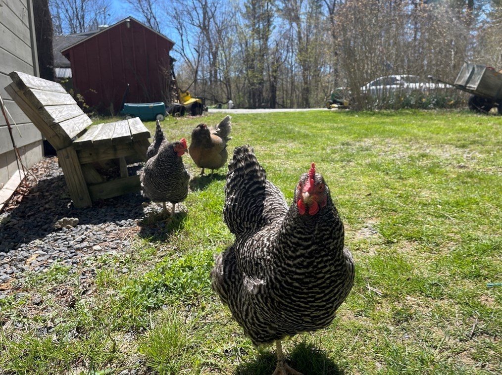 1016 St, East Bridgewater MA 02324-2943 exterior