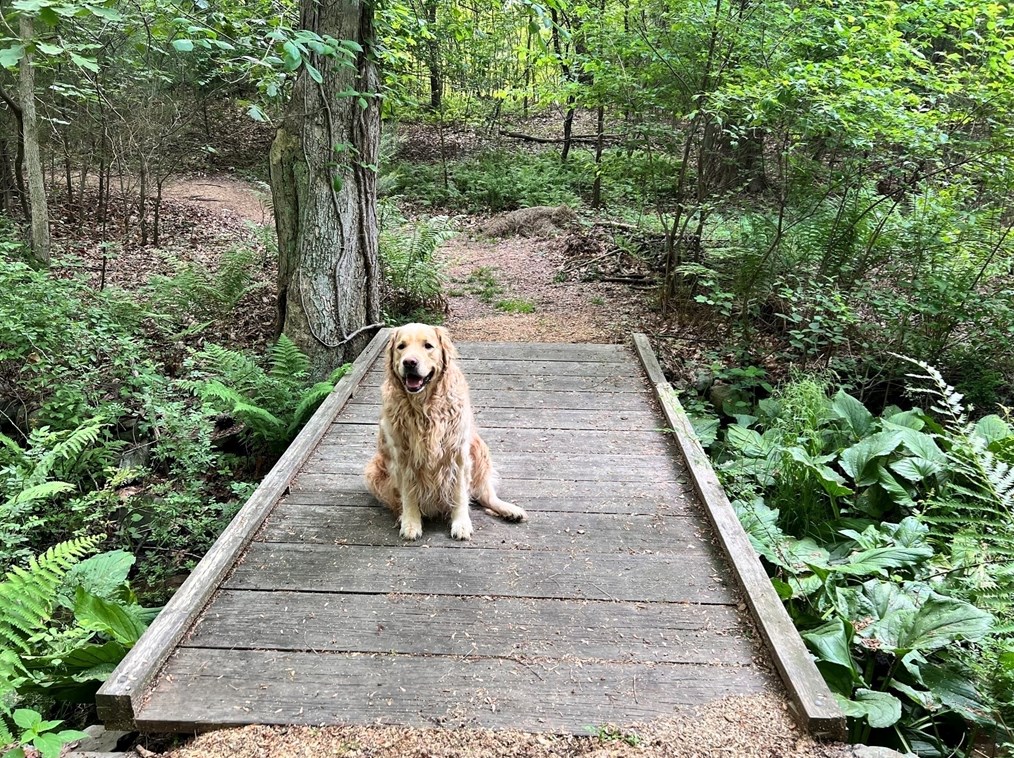 1016 St, East Bridgewater MA 02324-2943 exterior