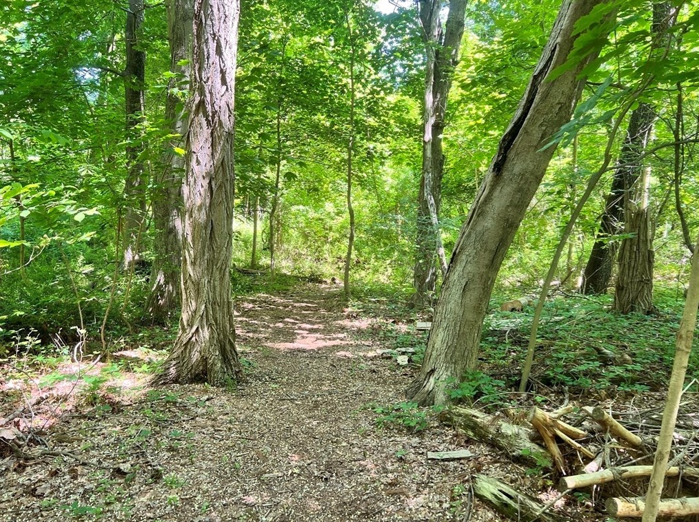 1016 St, East Bridgewater MA 02324-2943 exterior