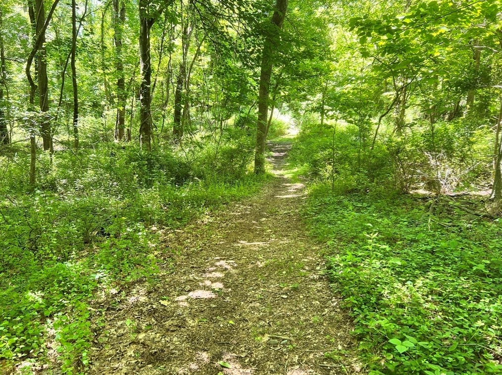 1016 St, East Bridgewater MA 02324-2943 exterior