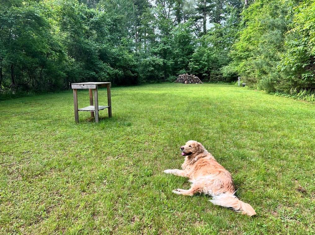 1016 St, East Bridgewater MA 02324-2943 exterior