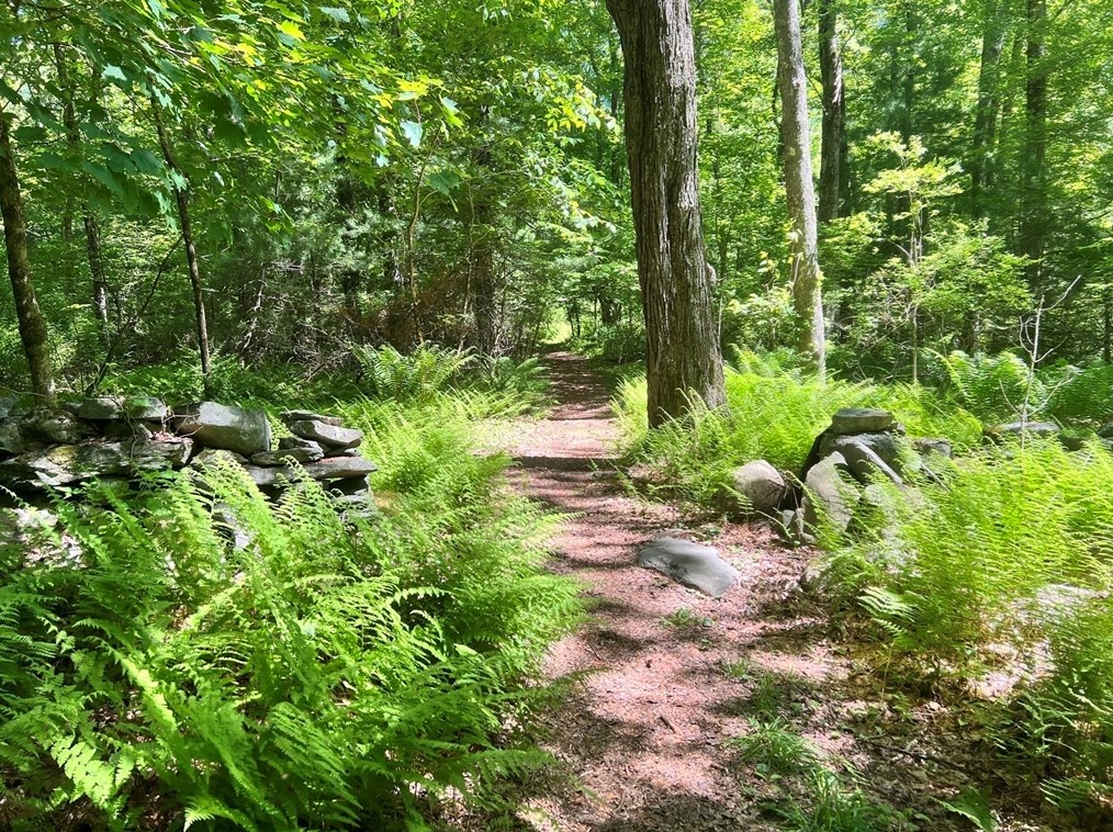 1016 St, East Bridgewater MA 02324-2943 exterior