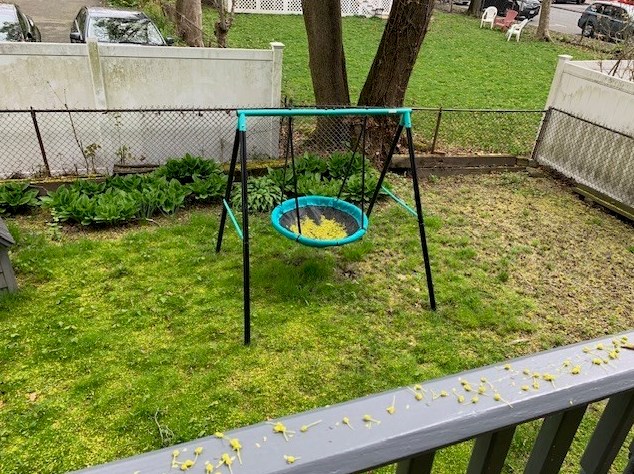 15 Farquhar St, Boston MA exterior