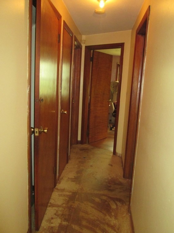 37 Wilber St, Springfield MA  01104-2526 exterior