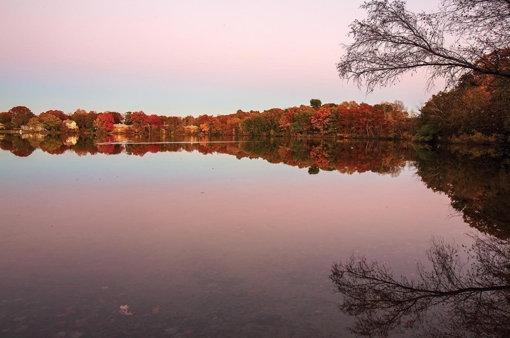 246 Lake Ave, Newton MA 02461-1210 exterior