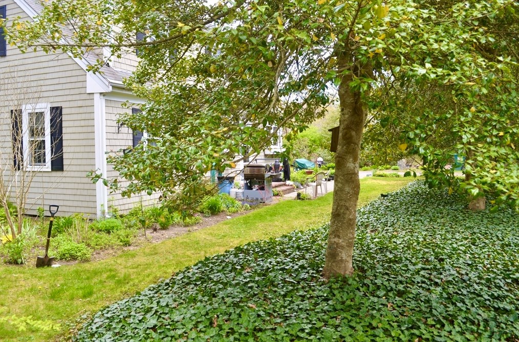 226 Cotuit Rd, Sandwich MA  02563-2655 exterior