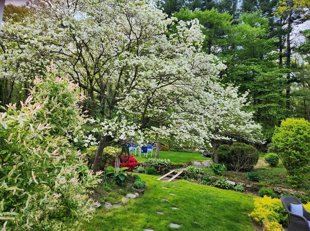 20 Chandler Rd, Burlington MA 01803-1802 exterior