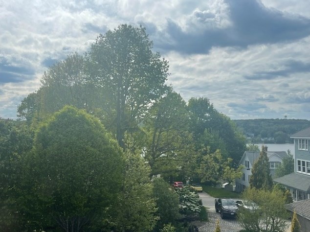 103 Tower St, Worcester MA  01606-2762 exterior