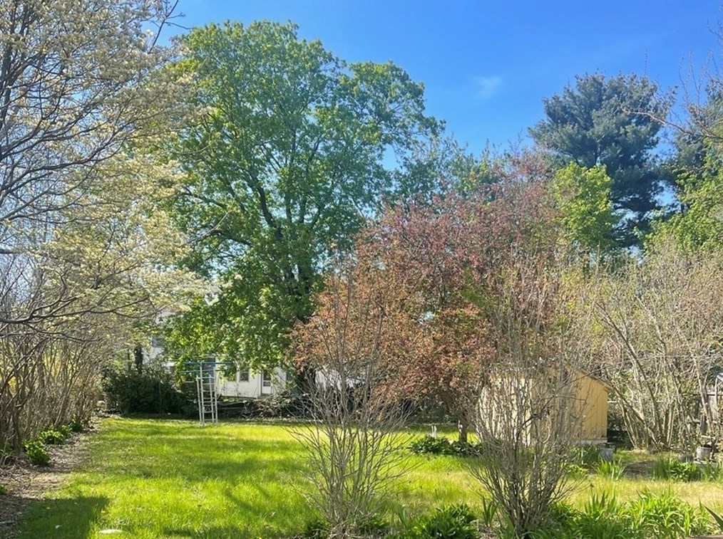 110 Leicester St, Boston MA  exterior