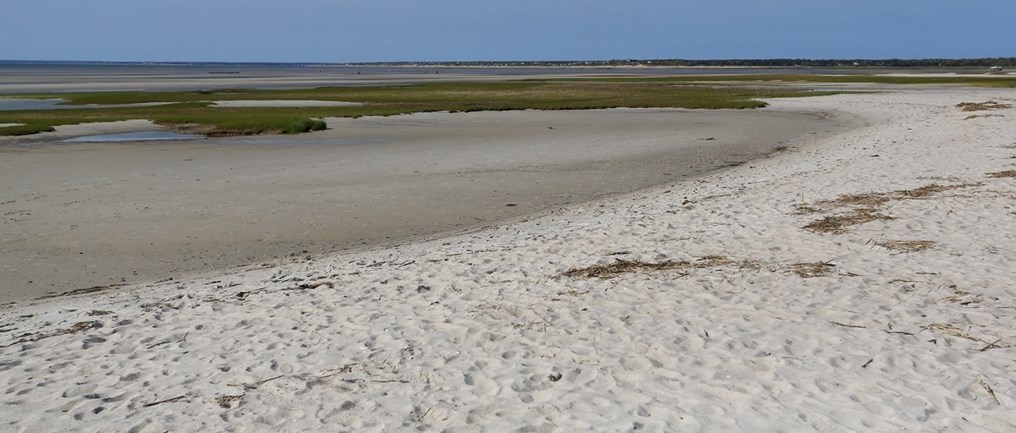 72 Patriots Way, Orleans MA 02653-2447 exterior