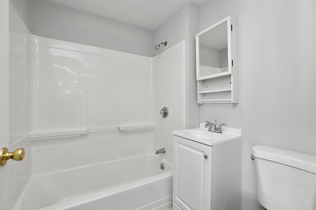 164 Chestnut St, Waltham MA  02453-0435 exterior
