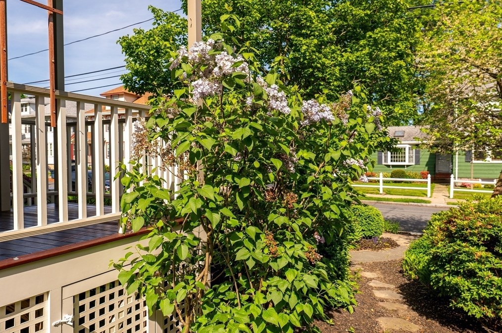 48 Webcowet Rd, Arlington MA  02474-2323 exterior