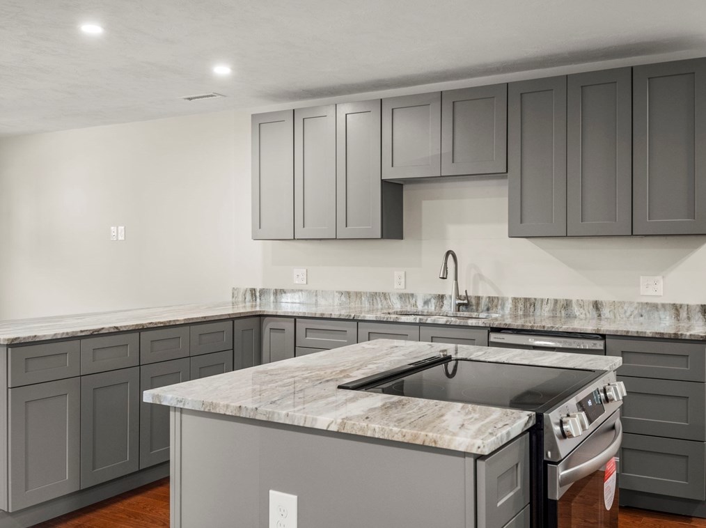 48 Litchfield St, Worcester MA 01603 exterior