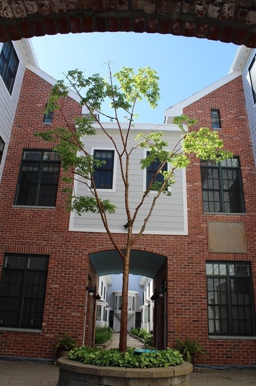 93 Central St, Natick MA  01760-3666 exterior