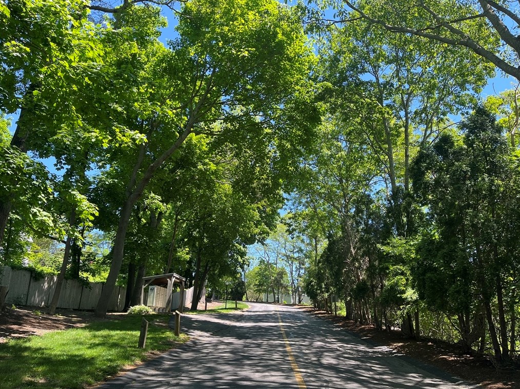 52 Liberty St, Plymouth MA 02360-4176 exterior