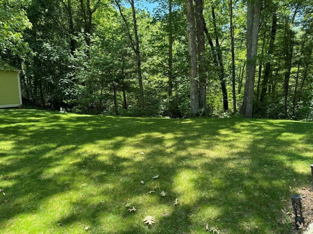 4 Longobardi Dr, Franklin MA exterior