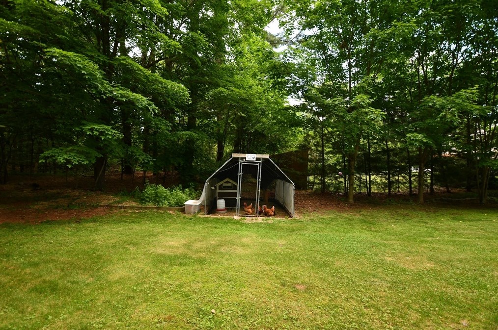 8 Meadowbrook Way, Norfolk MA 02056-1024 exterior