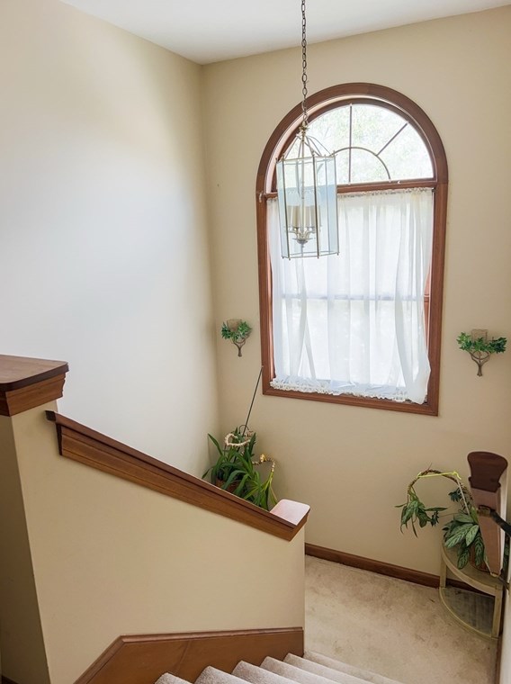 88 Dana Ave, Worcester MA  01604-3104 exterior