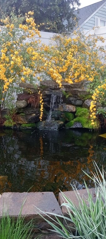 26 Illinois St, New Bedford MA 02745-2514 exterior