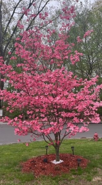 2 Bay Point Ln, Haverhill MA 01835-8613 exterior