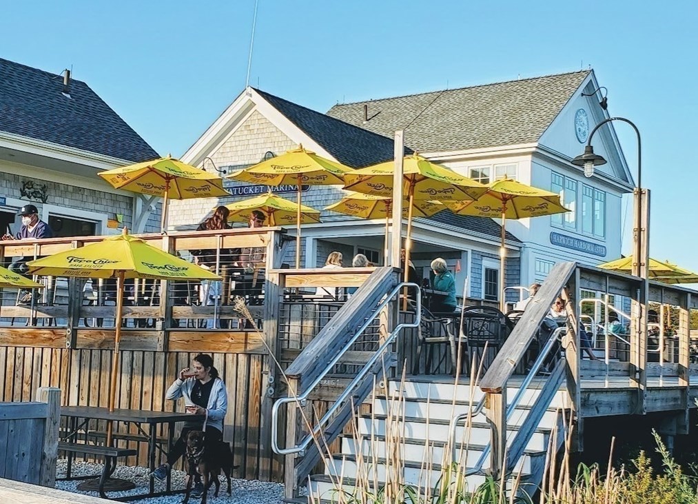 20 Surrey Ln, Harwich MA 02645-3116 exterior