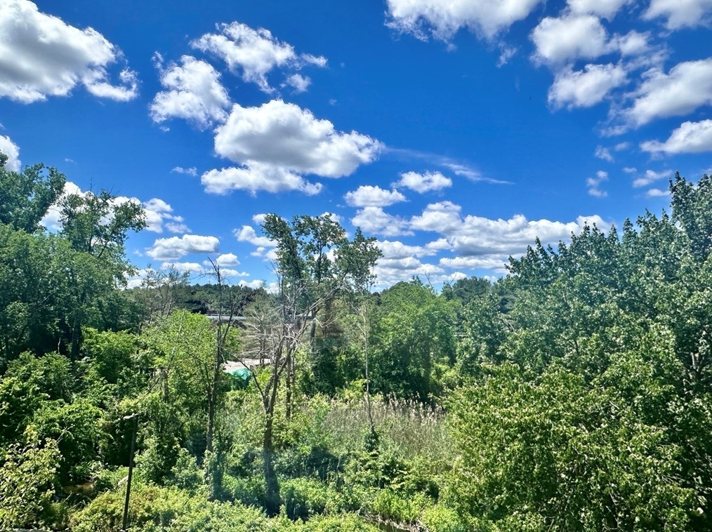 100 Rosemary Way, Needham MA  02494-1210 exterior