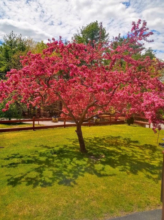 39 Washington Ave, Royalston MA 01331-9552 exterior