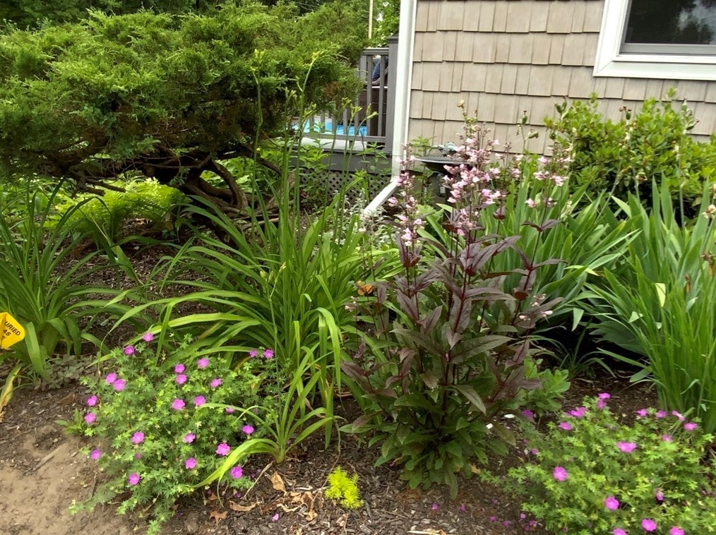 73 Fairview St, Greenfield MA  01301-9654 exterior