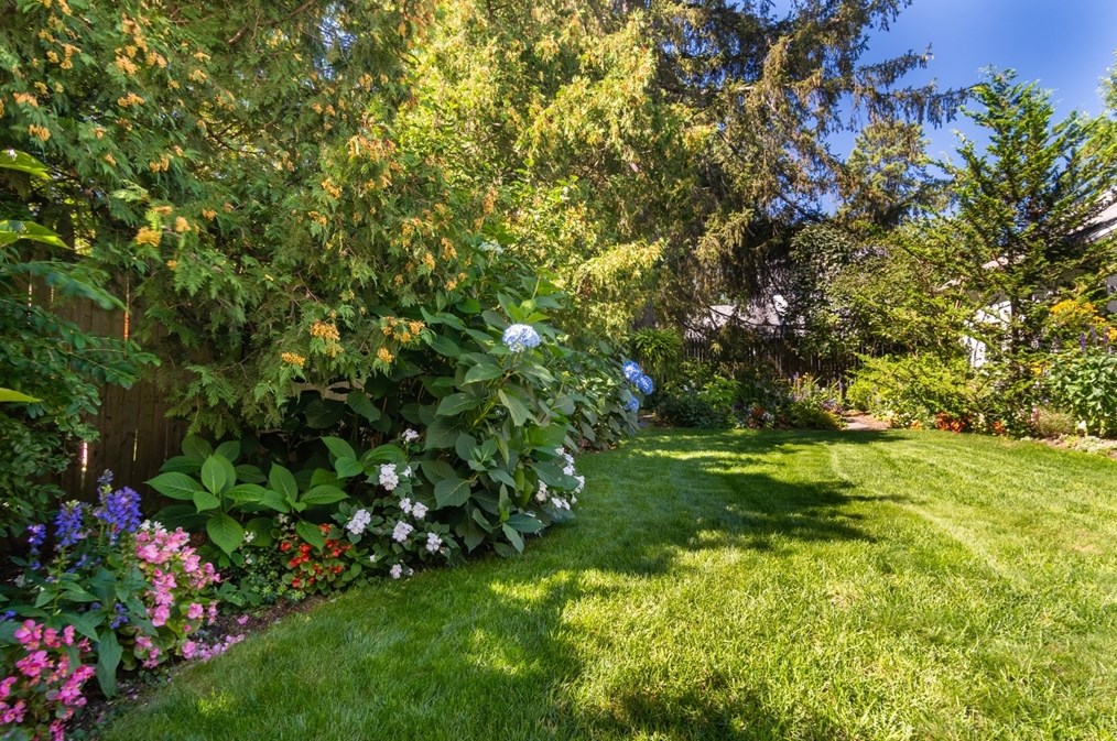 160 Abbott St, Springfield MA  01118-1601 exterior