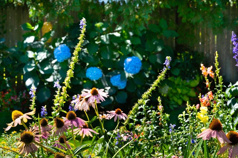 160 Abbott St, Springfield MA  01118-1601 exterior