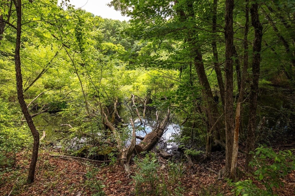 64 Marshall St, Holliston MA 01746-1439 exterior