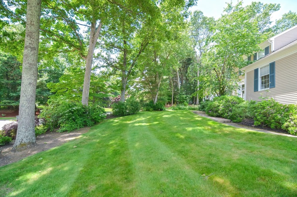 36 Dover Cir, Franklin MA 02038-4200 exterior