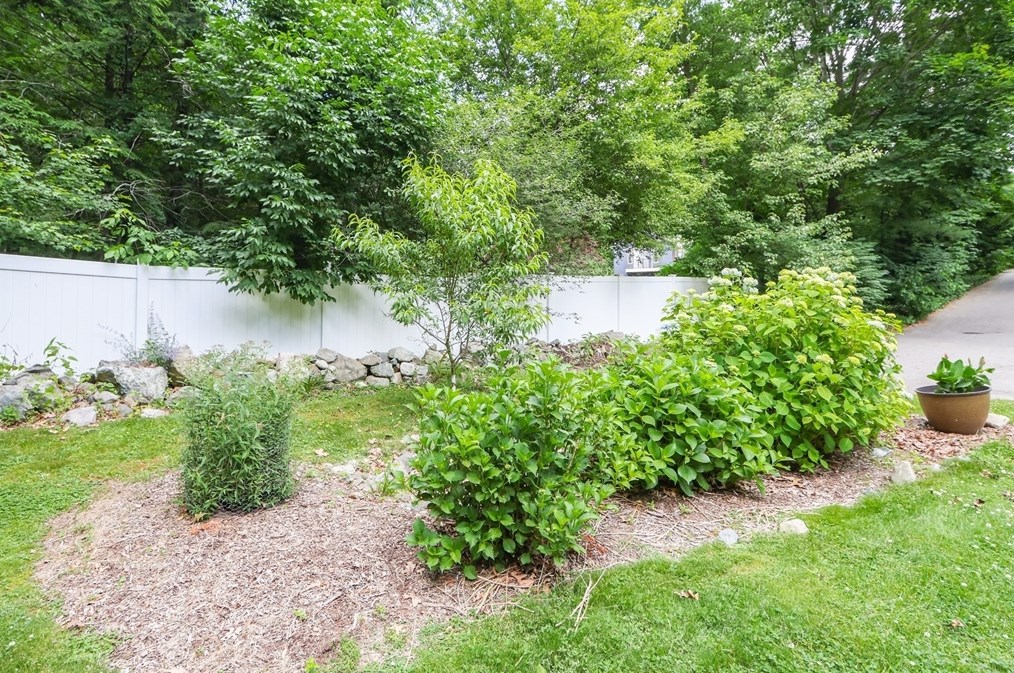 156 Worcester Ln, Waltham MA 02451-7531 exterior