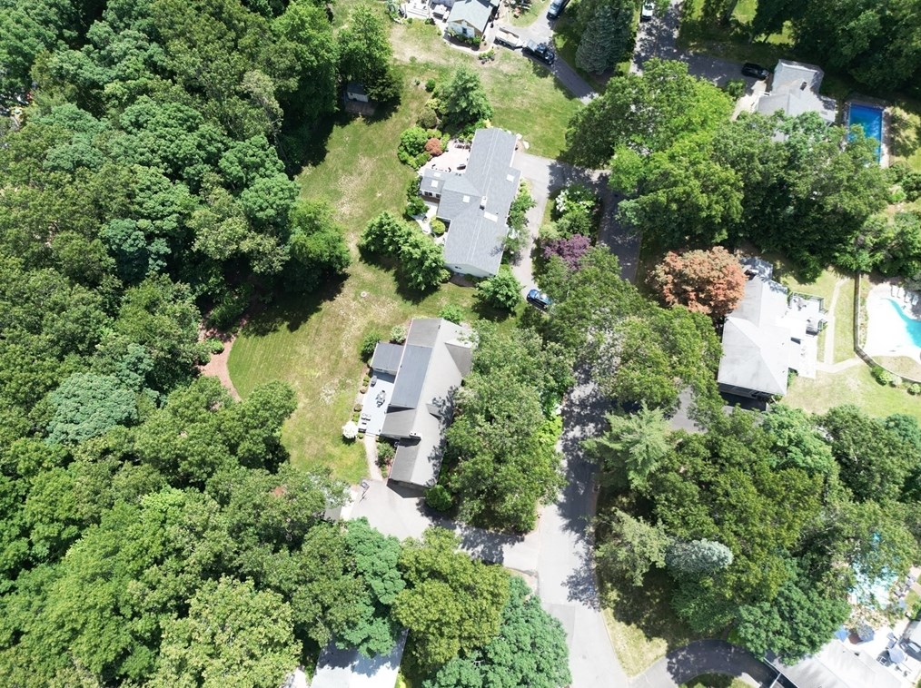 146 Silver Birch Rd, Springfield MA 01106-1735 exterior