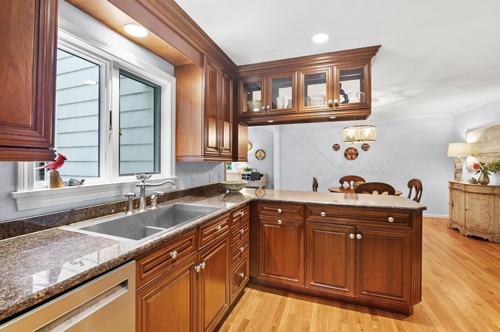 146 Silver Birch Rd, Springfield MA 01106-1735 exterior