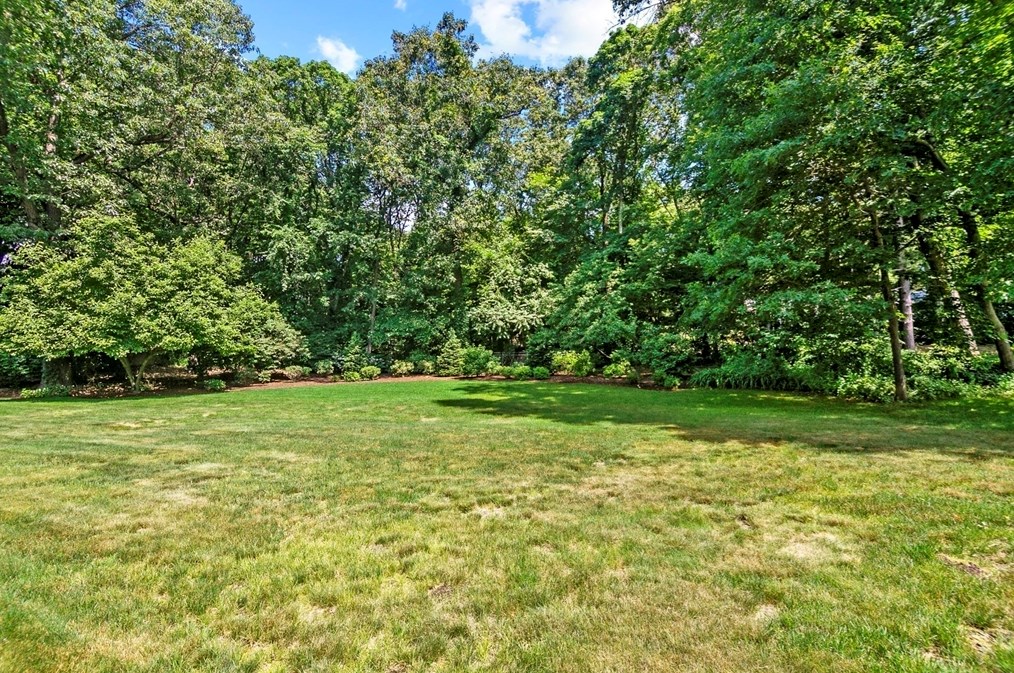 146 Silver Birch Rd, Springfield MA 01106-1735 exterior